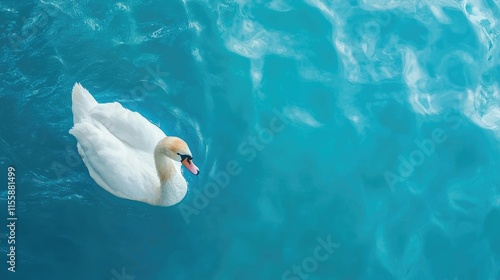 Portrait of a graceful white swan gliding through vibrant blue water with ample negative space for adding text or graphics photo