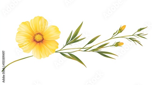 Wallpaper Mural Yellow Cosmos Flower with Buds and Green Stem Torontodigital.ca