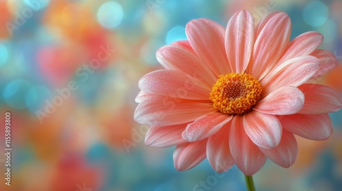 Pink flower with soft petals against a colorful blurred background in spring ...