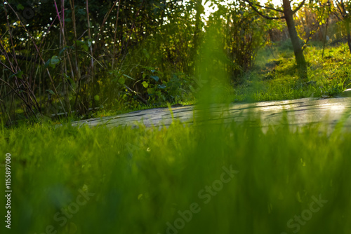 Close-up of lush green lawn grass creating a natural textured background. Perfect for use in eco-themed projects, design backdrops, and advertising. High-resolution image showcasing the vibrant freshn photo