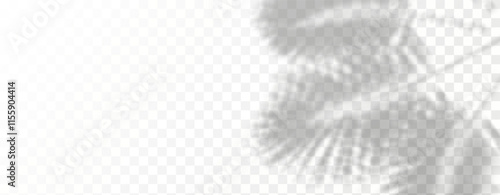 Glare from the sun's rays on the wall. Blurred shadows from leaves and plants in the room. Soft overlay of natural light. 