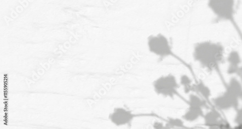 Glare from the sun's rays on the wall. Blurred shadows from leaves and plants in the room. Soft overlay of natural light. 