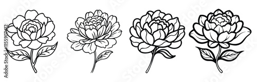 Detailed Floral Outline Vector Set of Four, A vector set of four detailed floral illustrations with black outlines, showcasing intricate petals, stems, and leaves.
 photo