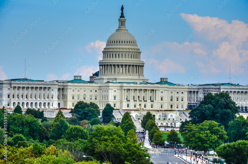 Fototapeta premium the Capitol of America/ Washington DC