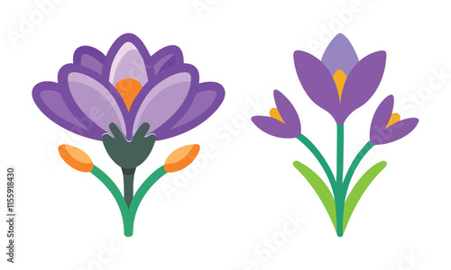 Stylized purple crocus flower designs, Two stylized crocus illustrations featuring vibrant purple petals, orange accents, and green leaves, highlighting a fresh and cheerful spring aesthetic. 