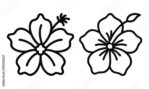 Outline drawings of hibiscus flowers, Simple black-and-white line art of two hibiscus flowers, showcasing floral designs with clean, minimalist outlines.
