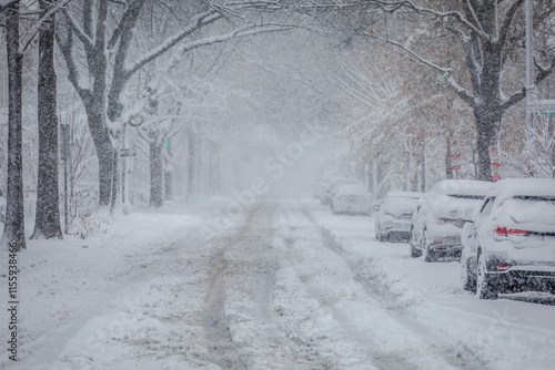 Cityscape during heavy Snowfall - Streets, Cars and Street Trees covered in Snow; Copy Space