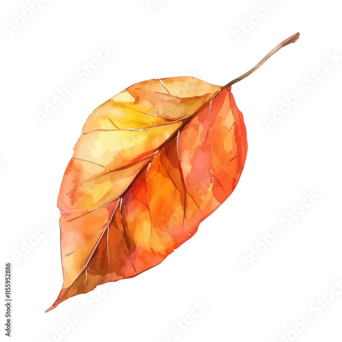 A watercolor drawing of a fall leaf caught in a gentle breeze, isolated on a white background. Fall leaf vector.
