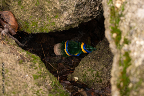 A Christmas tree and a Ukrainian flag ribbon lie under rubble in Ukraine on Christmas in Ukraine,Christmas photo