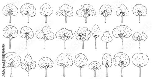 Top view and side view, set of graphics trees elements outline symbol for architecture and landscape design drawing. Vector illustration