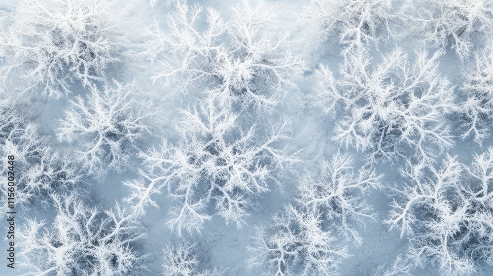 Aerial view of a frozen forest with snow-covered trees and branches , cold climate, winter landscapes Aerial view of a frozen forest with snow-covered trees and branches , cold climate, winter landscapes