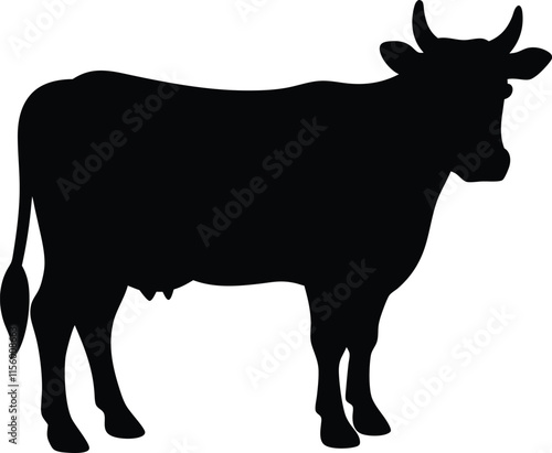 silhouette of a cow