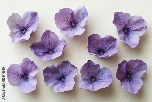 Beautiful lavender flowers arranged on a light background for decorative purp...