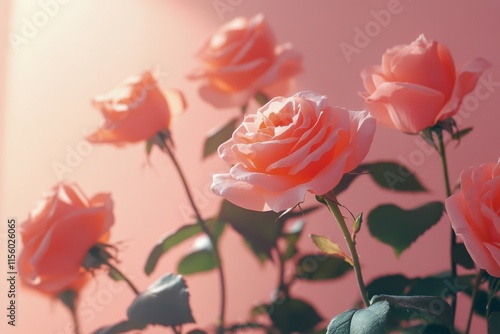 Soft peach roses blooming against a pastel background in natural light