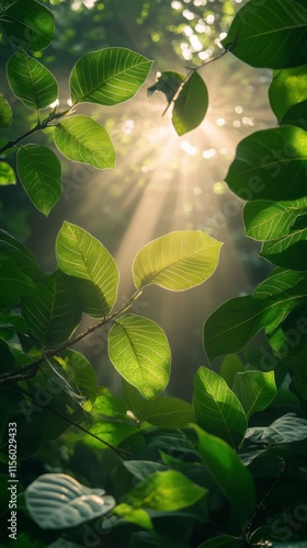 Sunlight filters through dense tropical foliage in a vibrant jungle setting