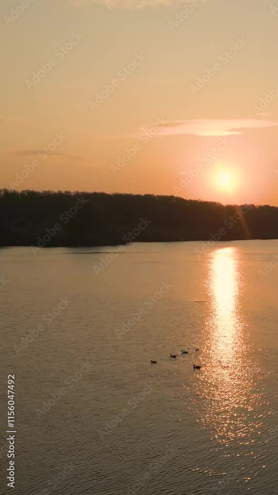 serene sunset golden hour over river forest backdrop reflection sun water creates scene while ducks float by background floating backward aerial nature landscape beauty serenity tranquility serene sunset golden hour over river forest backdrop reflection sun water creates scene while ducks float by background floating backward aerial nature landscape beauty serenity tranquility