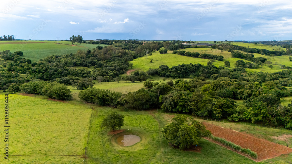 Obraz premium green aerial landscape with hills and trees