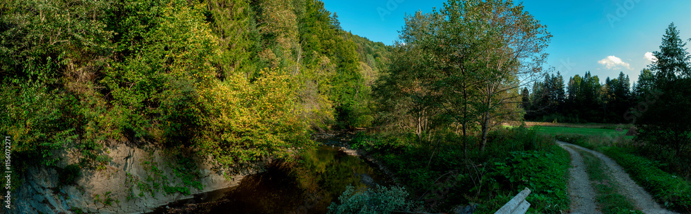 Panorama of a green meadow surrounded by a forest. A large green meadow surrounded by a forest. Forest meadow. Panorama of a green meadow surrounded by a forest. A large green meadow surrounded by a forest. Forest meadow.