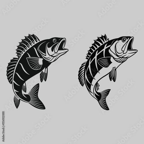 perch fish 