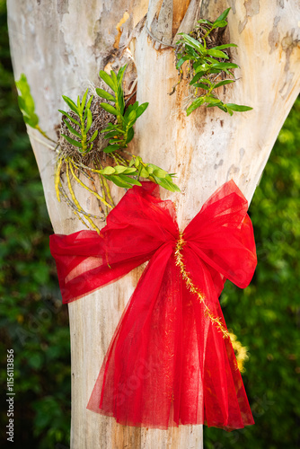 Concept: The Gift of Nature. Beautiful big red bow wrapped around a tree in a natural scene.