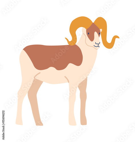 Ram breed with curved horns