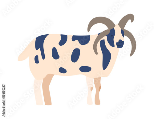 Noirfolk horned sheep breed vector illustration