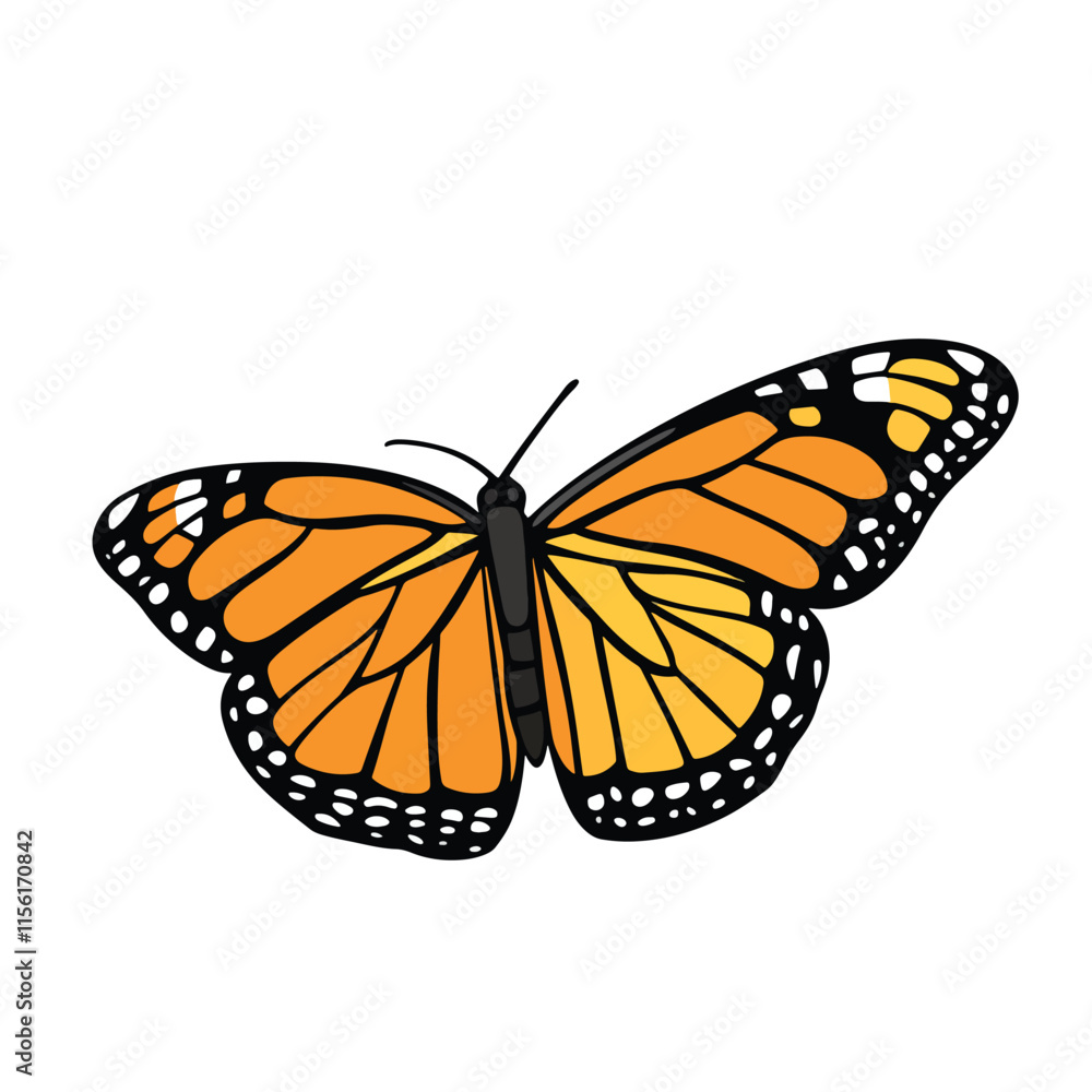 Fototapeta premium Butterfly clip art, clip art concept