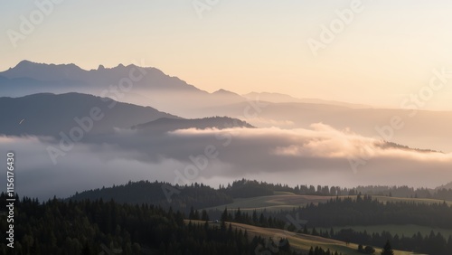 Fototapeta Naklejka Na Ścianę i Meble -  Golden Sunrise Over Misty Mountain Valley in the Polish Tatras