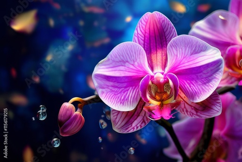 Wallpaper Mural Vibrant orchid blooms with rich magenta, purple hues. Exotic petals in dynamic composition. Natures elegance captured in stunning floral display. Perfect for botanical enthusiasts, decor. Torontodigital.ca