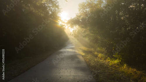 Morning Along the Spring Creek Greenway