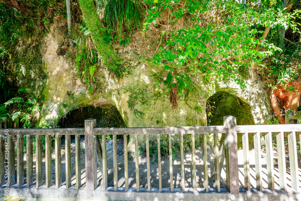 秋の鹿児島市城山西郷隆盛洞窟 鹿児島県鹿児島市 Shiroyama Saigo Takamori Cave in Kagoshima City in autumn. Kagoshima Pref, Kagoshima City. 秋の鹿児島市城山西郷隆盛洞窟 鹿児島県鹿児島市 Shiroyama Saigo Takamori Cave in Kagoshima City in autumn. Kagoshima Pref, Kagoshima City.
