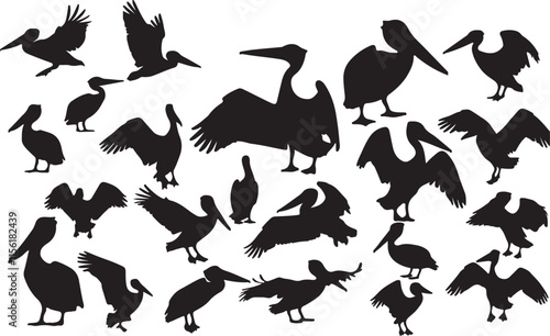 Pelican Silhouette Designs photo