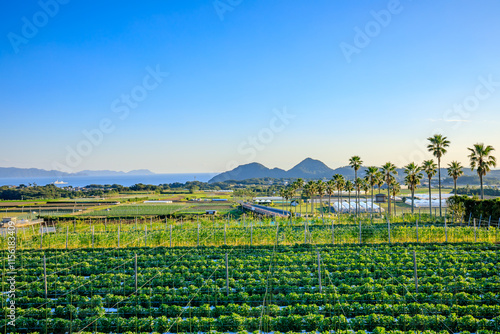 秋の長崎鼻入口展望台から見た景色　鹿児島県指宿市　Autumn view from Nagasakibana Entrance Observation Deck. Kagoshima Pref, Ibusuki City. photo