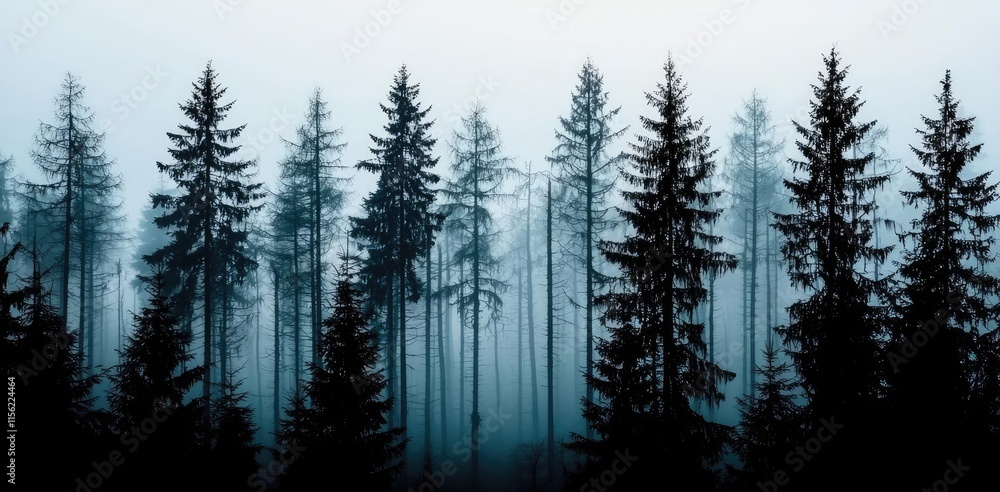 Mist forest concept. Misty forest landscape with silhouette trees creating a serene atmosphere.