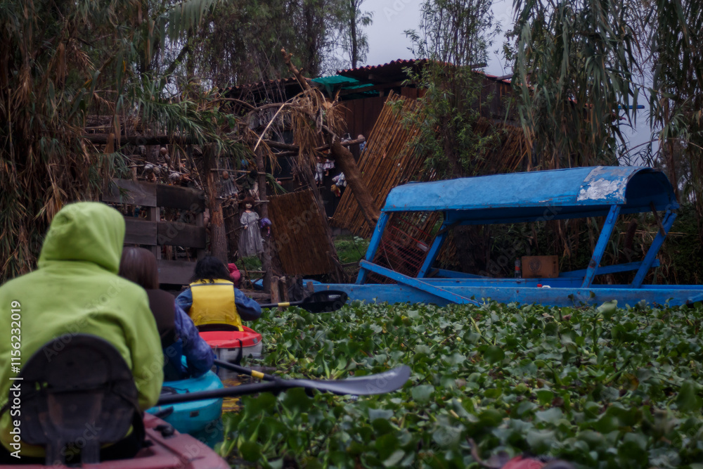 paseo en trajinera y en kayak por los canales de xochimilco durante el amancer paseo en trajinera y en kayak por los canales de xochimilco durante el amancer
