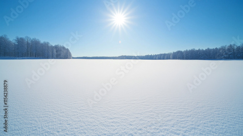 太陽の光が輝く広大な雪原と遠くの木々 photo