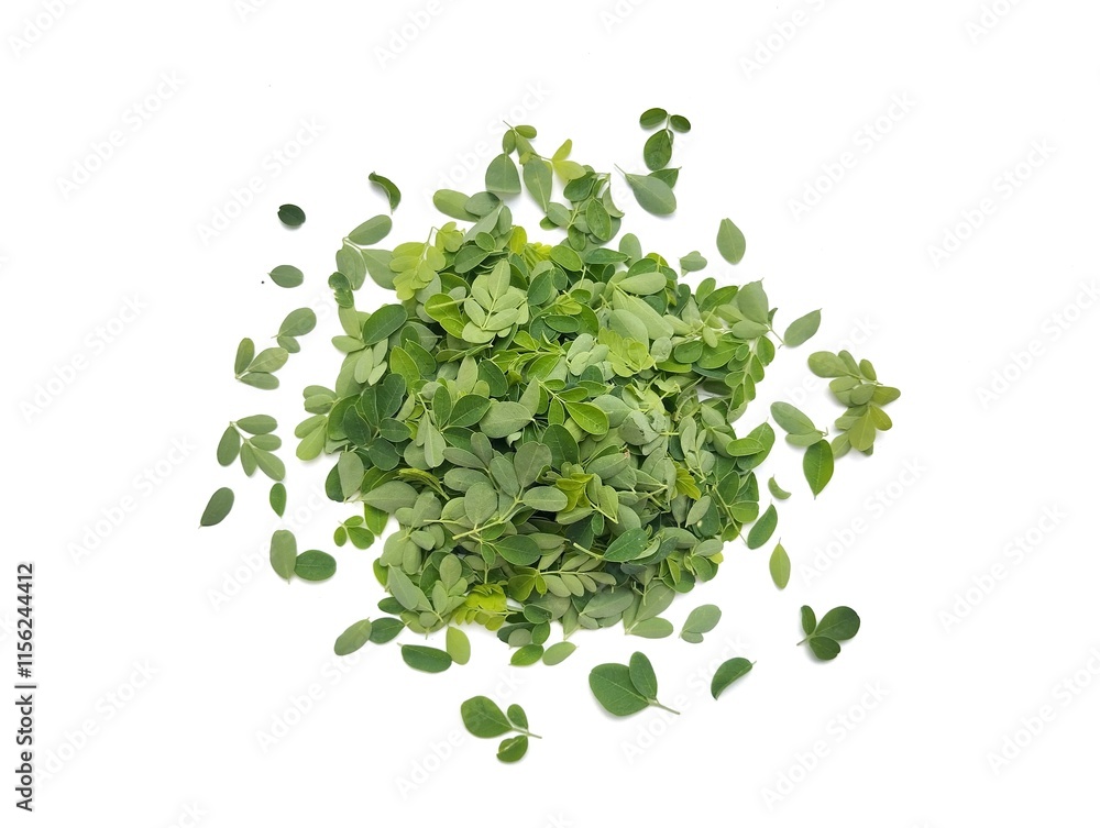Pile of green moringa leaves isolated on white background Pile of green moringa leaves isolated on white background