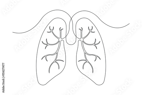 Anatomical human lungs continuous one line drawing vector illustration. Dynamic medical internal anatomy concept