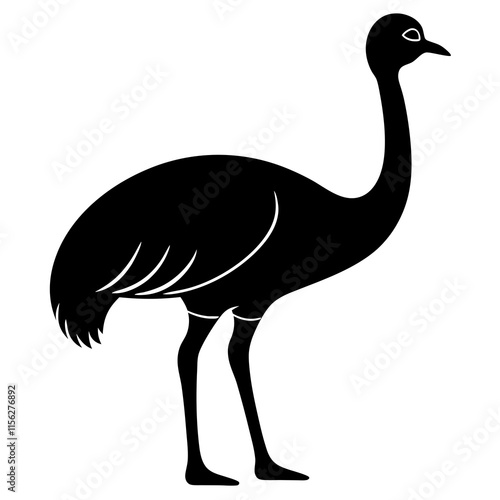 illustration of an ostrich photo