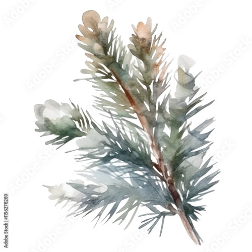 Watercolor Pine Branch photo