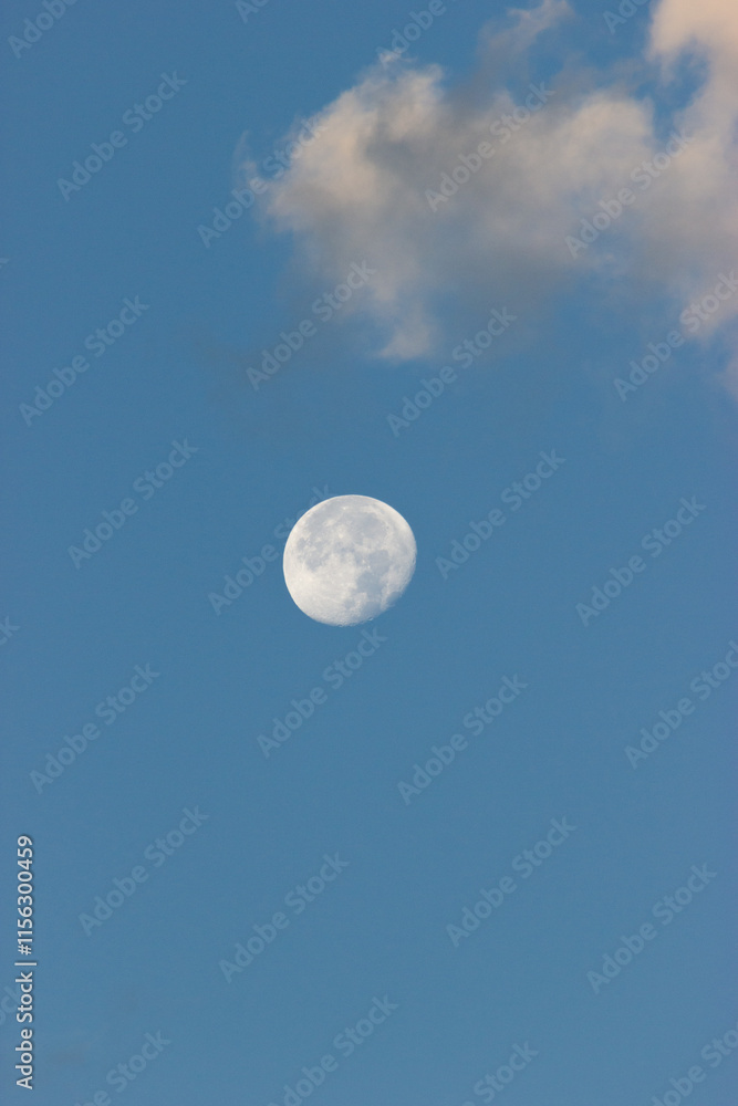 Blue Moon Blue Moon