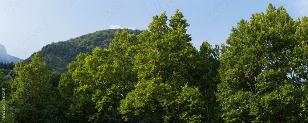 Rhodopes, are a mountain range in Southeastern Europe. Bulgaria. Panorama. The forest area covers the mountains. Rhodopes, are a mountain range in Southeastern Europe. Bulgaria. Panorama. The forest area covers the mountains.