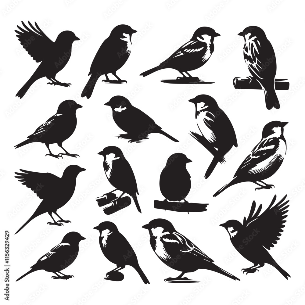 Obraz premium Silhouette set of sparrows on white background