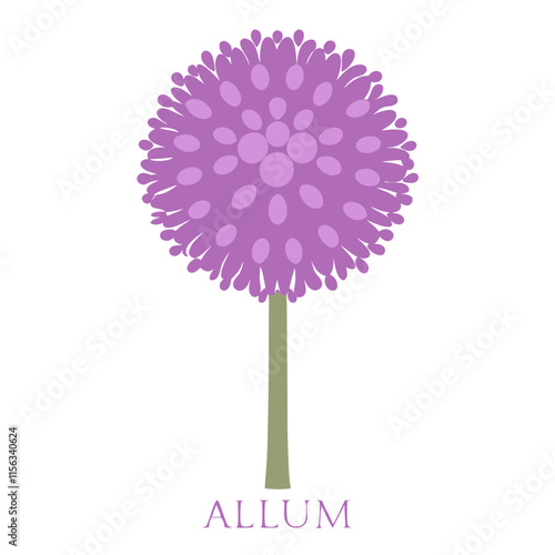 Giant Allium Head