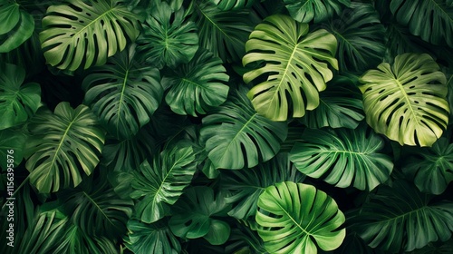 Lush Green Tree Foliage
