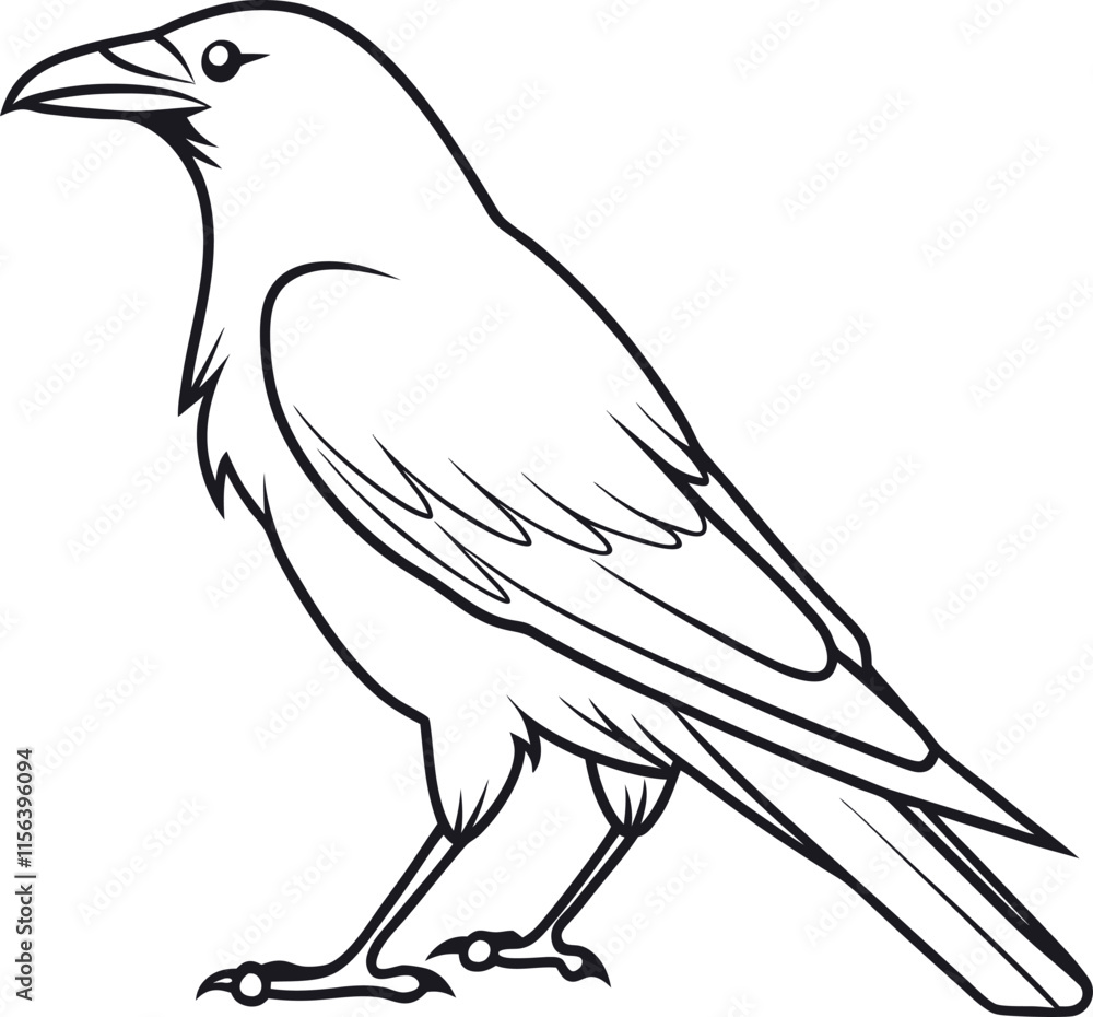 Fototapeta premium Crow outline vector and straightforward illustration line art design on a white background.