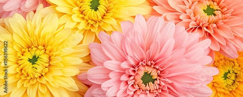 Pastel floral concept. Vibrant pink and yellow flowers create a stunning floral background full of life.