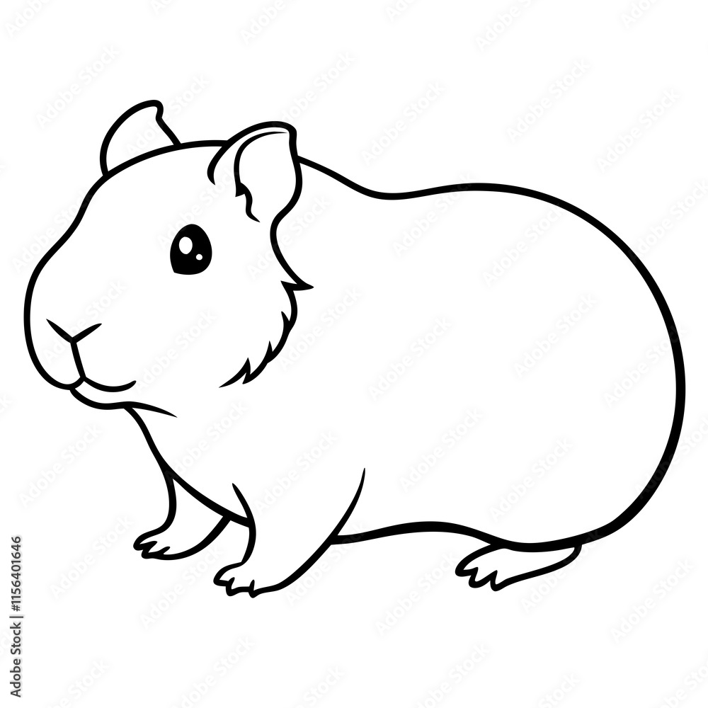 guinea pig guinea pig
