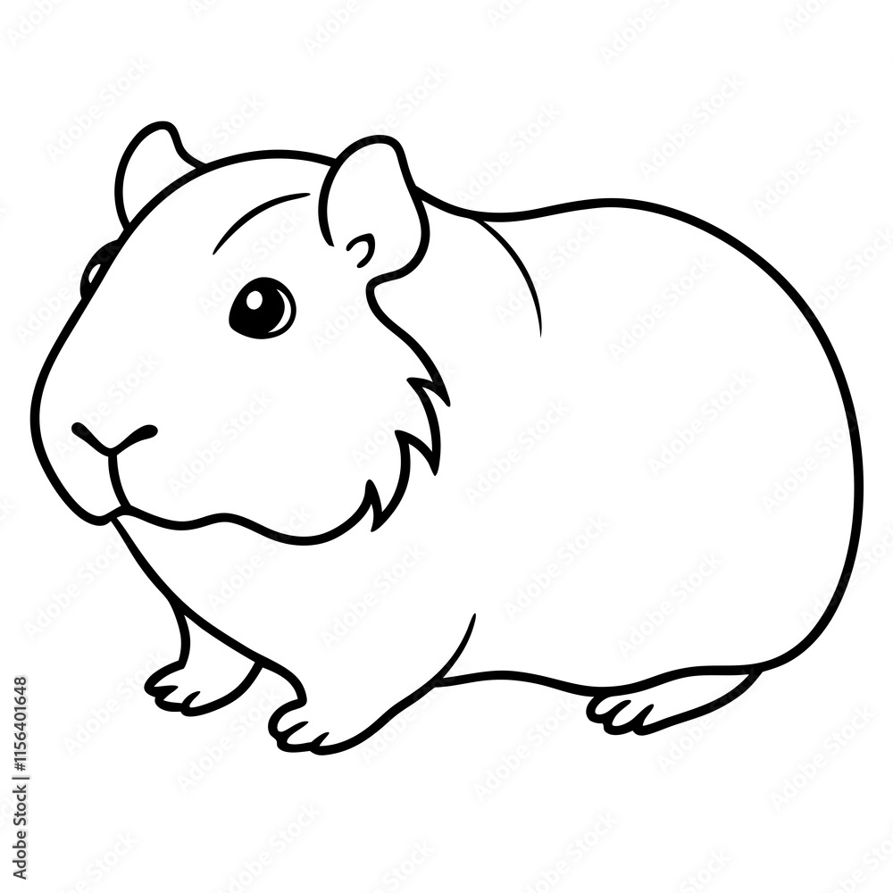 guinea pig guinea pig