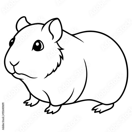 guinea pig